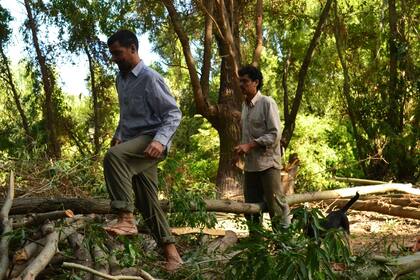 Yporá. Los wwoofers que se hospedan durante varios meses en el Delta, en un ámbito construido para realizar talleres y retiros, quedan deslumbrados con la belleza del Paraná y de sus islas