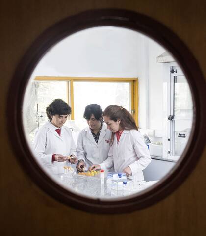 Yuliana Monroy, Sandra Rivero y Alejandra García
