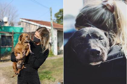 Zaguates hace campañas de castración en barrios carenciados. Foto: @somosamico