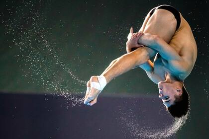 Zambullida. La plasticidad del rumano Aurelian Dragomir