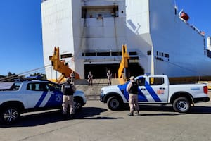Incautaron 16 kilos de cocaína en un buque extranjero amarrado en el puerto de Zárate