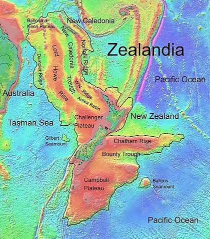 Zealandia es considerado el octavo continente