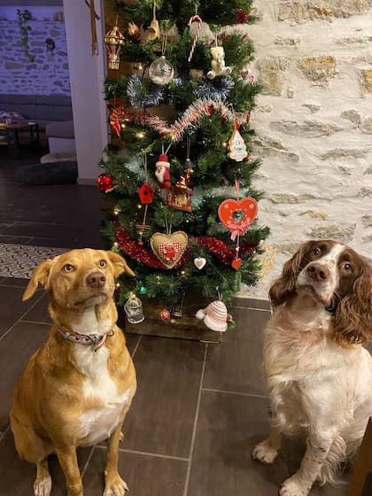 Zena ahora vive en Francia y tiene un hermano.