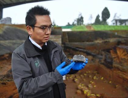 Zheng Zhexuan muestra un diente de elefante desenterrado en el yacimiento
