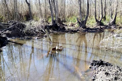 Zona de impacto de la aeronave