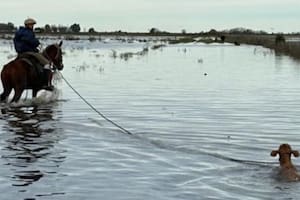 Zonas aledañas al Salado entre Ernestina y la RN 205