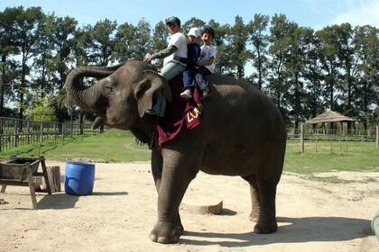 Los visitantes del zoo de Luján podían dar paseos sobre Sharima y Arly, otra elefanta también fallecida