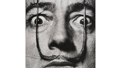 «Como dos centinelas erguidos, mi bigote custodia la entrada a mi verdadero yo», El bigote de Dalí, 1954