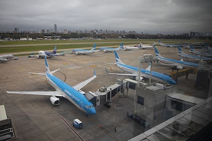 ‎Javier Milei reveló la propuesta que tendrá para el manejo de Aerolíneas Argentinas 