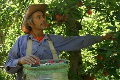 📌 “Mantener normas desvinculadas del agro podría impulsar la informalidad y encarecer costos”, advirtió la entidad.