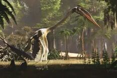 Conoce a Quetzalcoatlus, el mayor ser volador que vivió en la Tierra