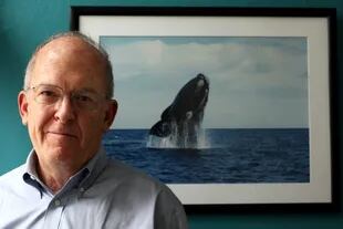 Roger Payne, es Presidente y fundador del Ocean Alliance. Desde 1967 ha estudiado el comportamiento de las ballenas, condujo más de 100 expediciones en todos los océanos