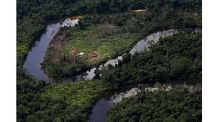 El territorio Yanomami en el Amazonas tiene 9500 hectáreas