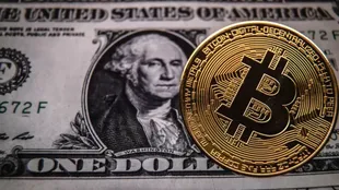 El bitcoin ha perdido más de la mitad de su valor en lo que va de año