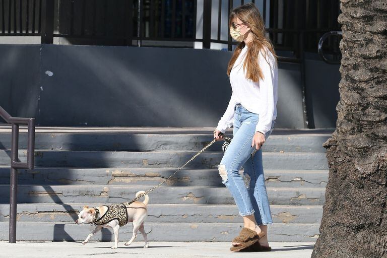 While enjoying a few days in Miami, Sofia Vergara does not neglect her obligations and starts her days walking with her dog
