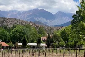 Vinos: ¿cuál es el techo del Malbec en Mendoza? Nuevas alturas llegan a la copa