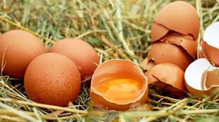 ¿Cómo influye el huevo en la dieta?