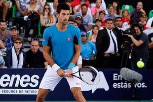Novak Djokovic no jugará la serie en Argentina