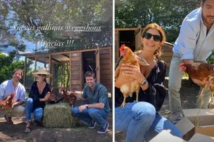 Juliana Awada sumó nuevas gallinas a su granja y lo compartió en Instagram