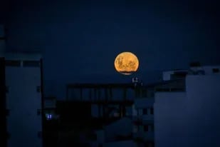 “Superluna”: la primera del año se vio con mayor brillo y tamaño del habitual