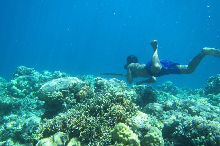 Los Bajau viven de la recolección de mariscos en el fondo del mar.