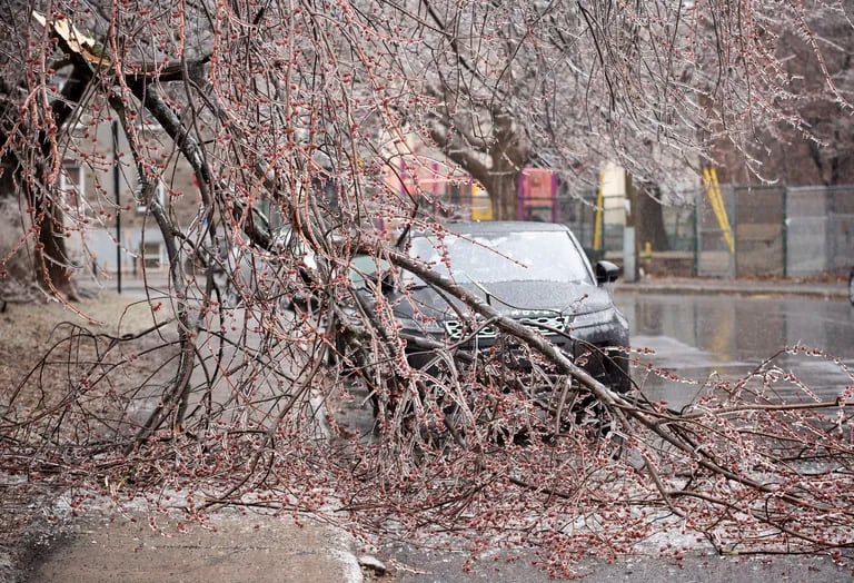 Freezing rain left 800,000 people without power in Canada