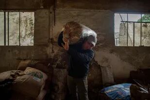 ¿Puede haber escasez de alimentos por la guerra en Ucrania?