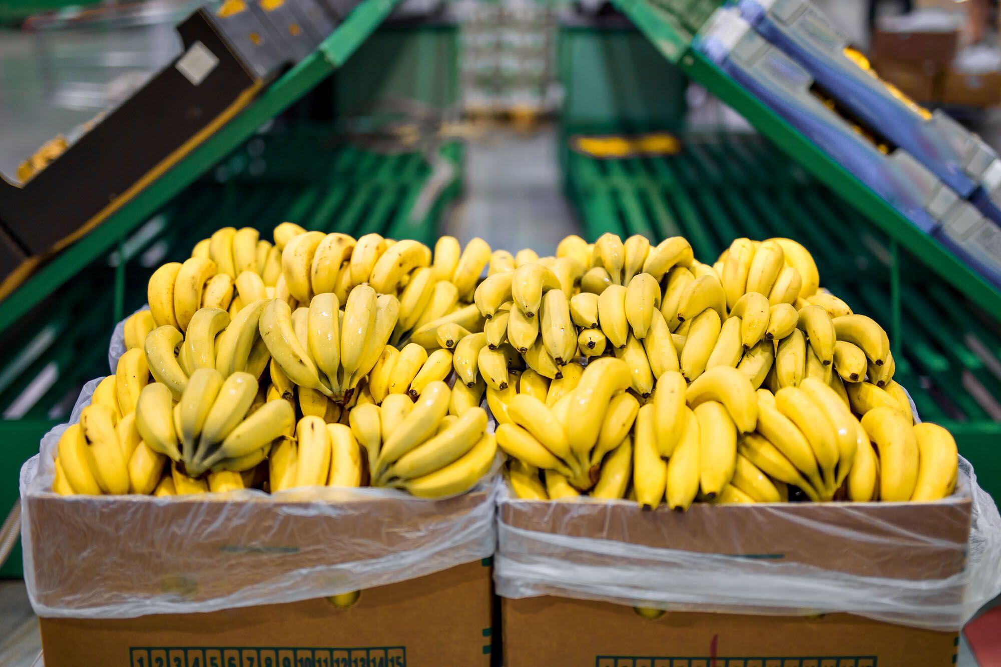 Acuerdo tras la falta de pago: las bananas de Paraguay volverán al mercado argentino