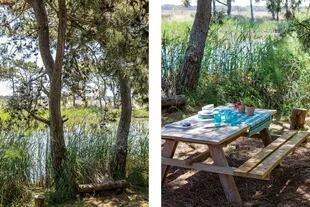 Una mesa entre los árboles para desayunar o almorzar al fresco.