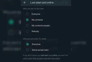 Así lucirá el menú para configurar la privacidad y ocultar el "en línea"