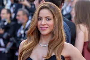 Shakira recibió una propuesta de matrimonio en la puerta de su casa