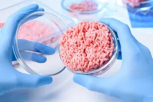 Actualmente, hay más de 100 compañías en el mundo que buscan desarrollar carne cultivada, un producto hecho en base a células animales que no requiere el sacrificio de ganado