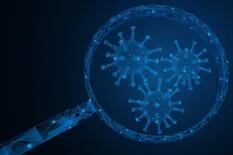 Coronavirus: cómo sería el mundo si desaparecieran los virus
