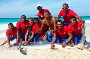 Otra vez, ahora en Punta Cana: matan a un tiburón por una selfie. Foto: Facebook