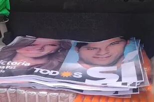 Usaron una camioneta oficial para repartir afiches de Tolosa Paz y Kicillof