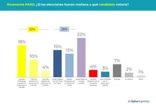 Escenarios PASO: ¿Si las elecciones fueran mañana a qué candidato votaría? 
