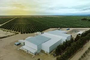 Con una inversión de US$14,8 millones, inauguran una planta de aceite de oliva