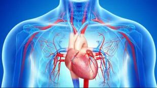 La insuficiencia cardíaca acarrea un mayor riesgo de muerte súbita