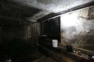 El oscuro sótano donde fueron encontrados Mo y Xuan en una "granja de bilis de oso" ilegal en Vietnam