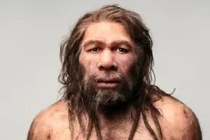 Una investigación arqueológica ahonda en la misteriosa desaparición de los neandertales