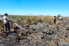 El número de hectáreas arrasadas por las llamas que alarma a Corrientes