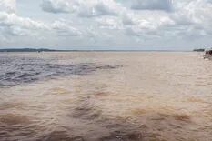 Amazonas: así es la capital de la biodiversidad mundial, hoy en peligro