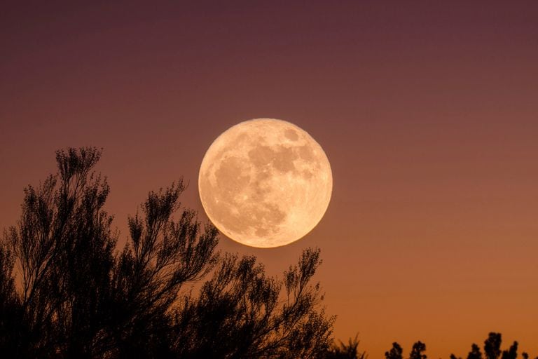 Las investigaciones citadas aseguran que el efecto de la luz que refleja la luna quedó descartado
