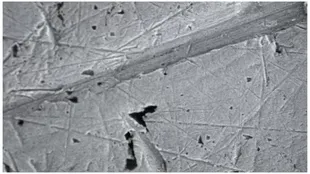 Unter einem leistungsstarken Mikroskop konnten die Forscher Kratzer sehen, die durch das Reiben von im Umlauf befindlichen Münzen verursacht wurden.