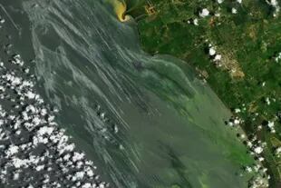 En las imágenes difundidas por la NASA se pueden observar manchas de petróleo
