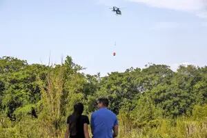 Costanera Sur: nuevo foco de incendio en la Reserva Ecológica