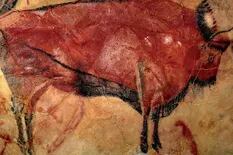 Es aficionado a la arqueología y ayudó a descifrar el significado de pinturas de hace 20 mil años: “Viaje mental"