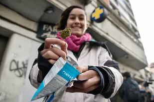 Avanza el plan para que argentinos y otros turistas puedan comprar marihuana legal en Uruguay