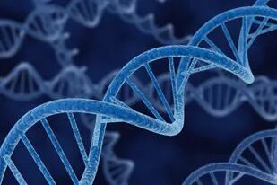 Las sorpresas que esconde un análisis de ADN