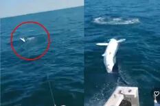 El espeluznante momento en que un tiburón saltó al barco de unos pescadores y golpeó a uno en la cara